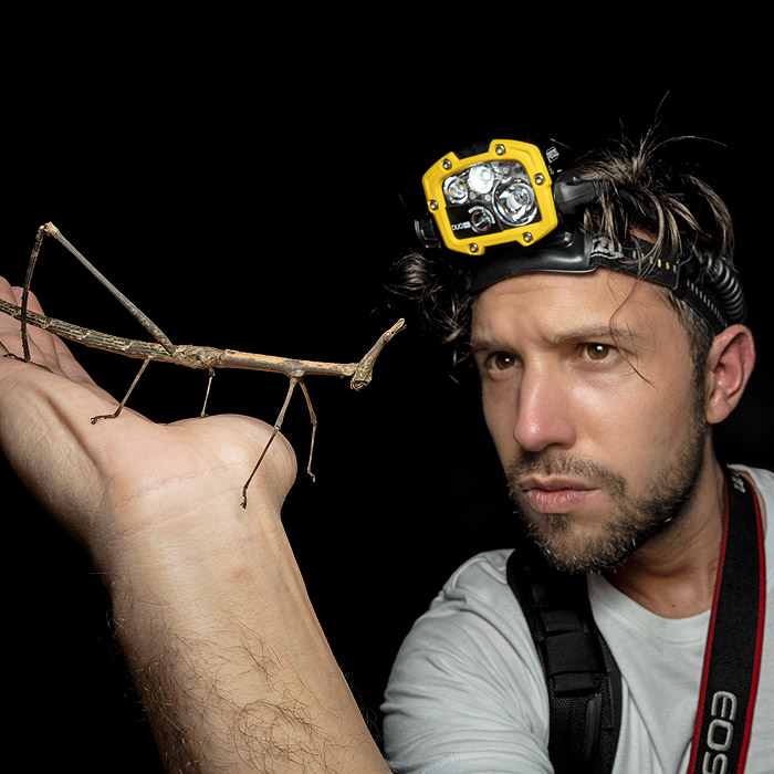 Image showing biologist Alejandro Arteaga holding a Horse-headed Grasshopper