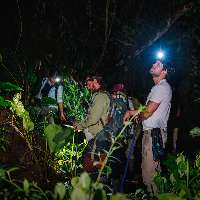 Image showing the BioBlitz team exploring a creek during a night hike