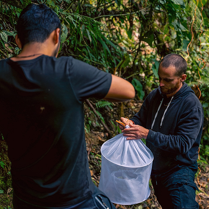 Image showing two biologists setting up a malaise trap in the cloud forest