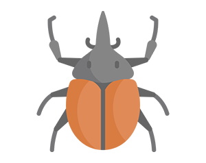 Beetle icon