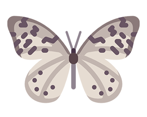 Butterfly icon