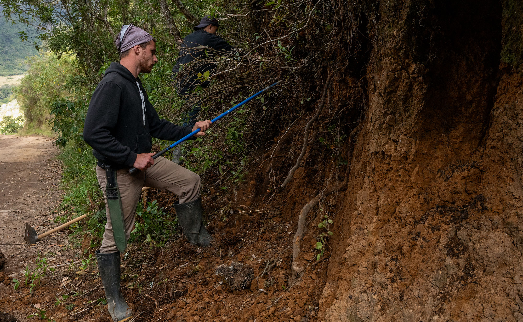 Field team looking for lightbulb lizards