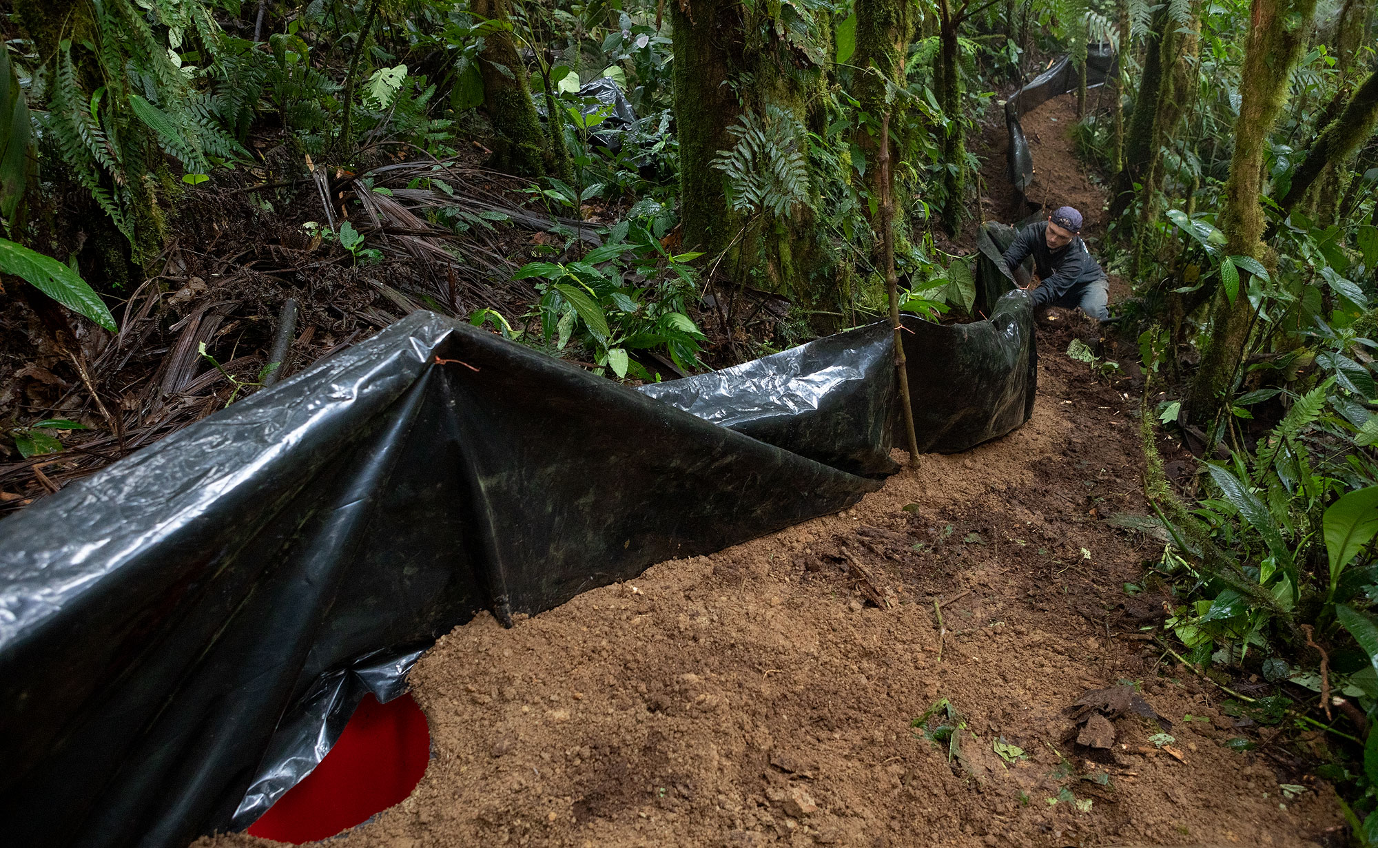 Field team setting up pitfall traps with drift fences