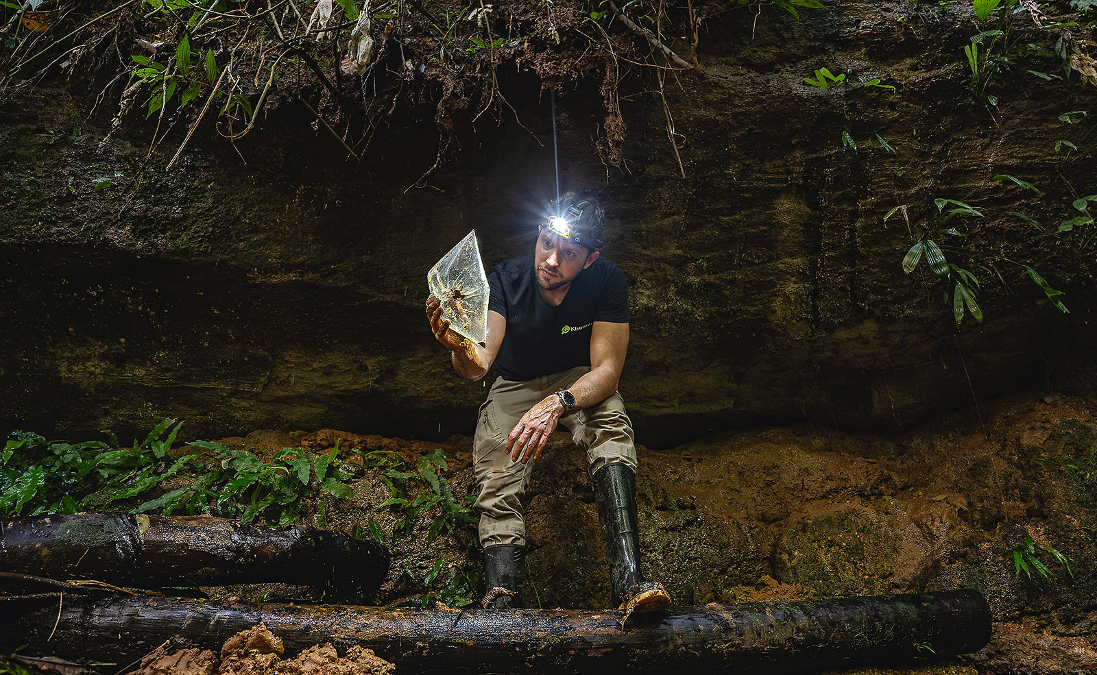 Image showing biologist Alejandro Arteaga holding an individual of the Spotted Rocket Frog