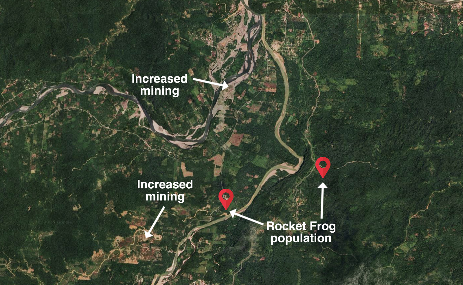 Map showing the distribution of the newly discovered rocket frog population and the location of neighboring illegal gold mines