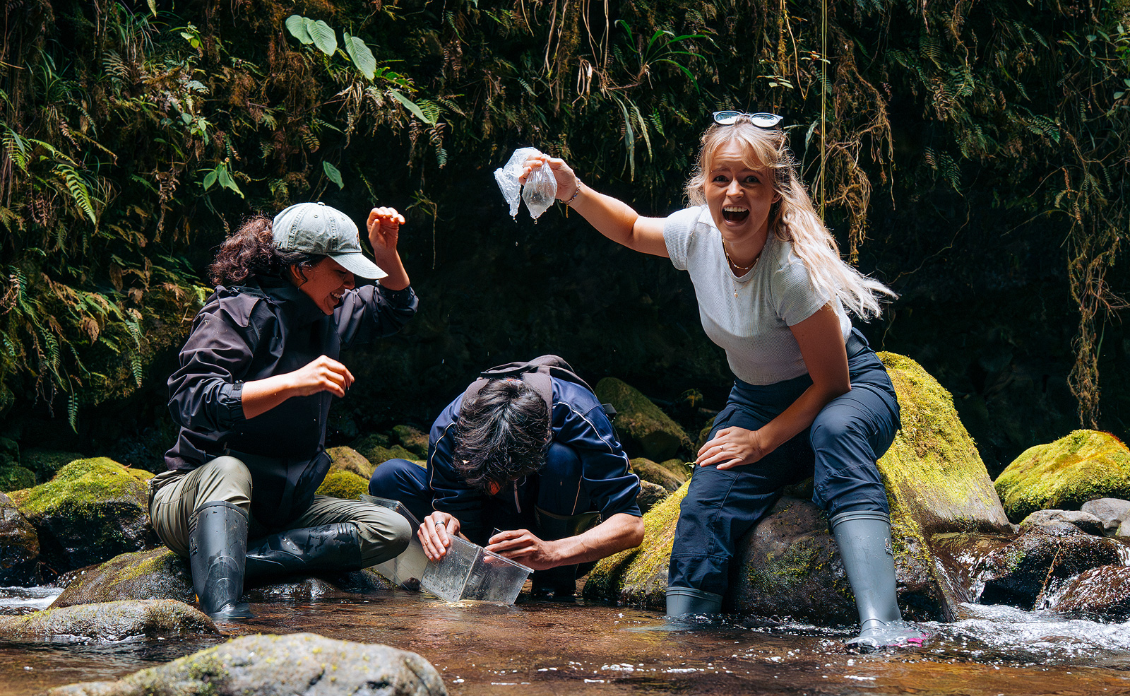Image showing the field team at the exact moment of the discovery of the tadpoles