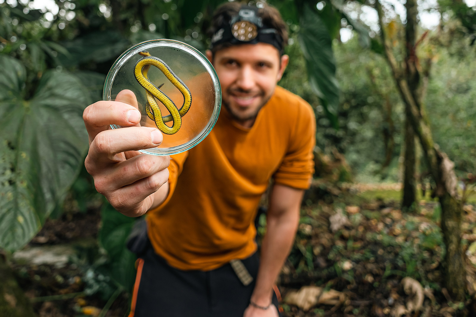 Researcher showing the ventral aspect of Atractus zgap