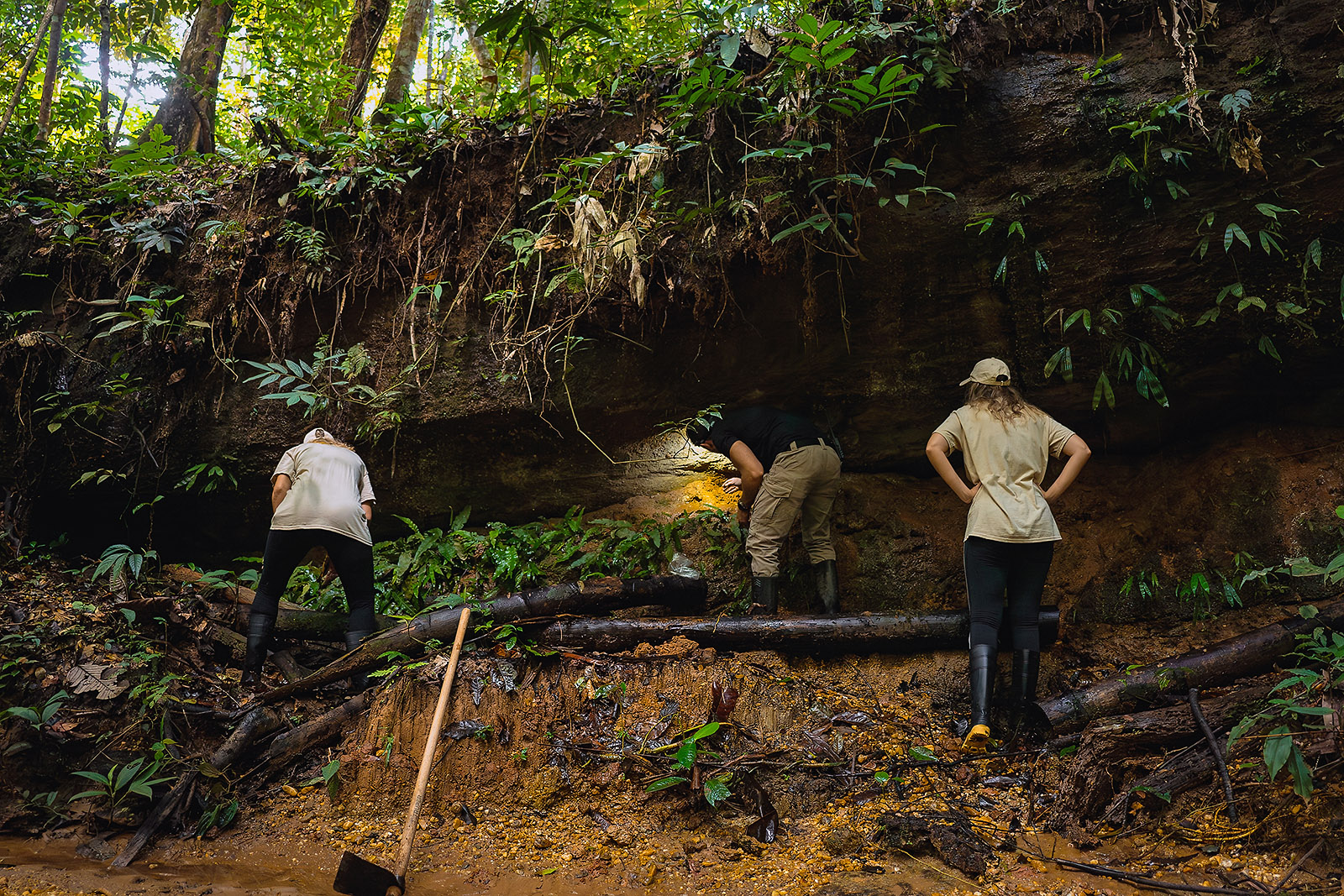 Image showing biologist Alejandro Arteaga searching for rocket frogs alongside Chloe Evans and Jessica Mousley