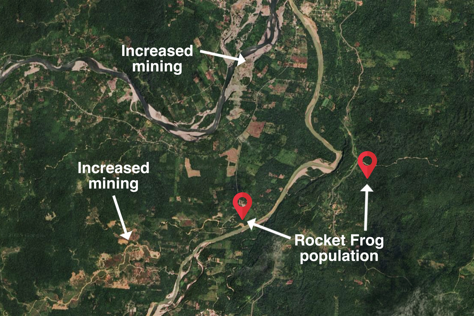 Map showing the distribution of the newly discovered rocket frog population and the location of neighboring illegal gold mines