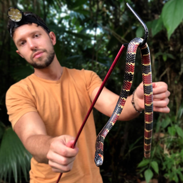 Image showing Alejandro Arteaga holding a coral snake in Ecuador