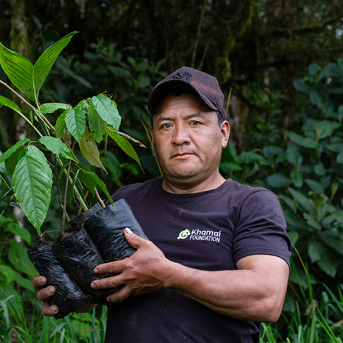 Image showing park ranger Franklin Pérez holding a tree sapling