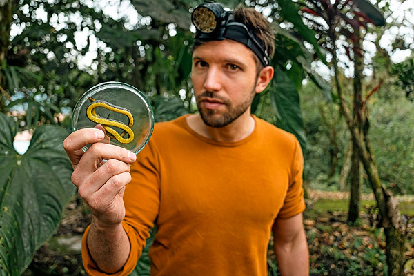 Image showing researcher Alejandro Arteaga holding a new species of ground snake