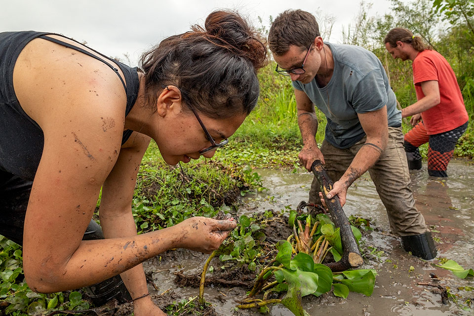 Image showing a group of researchers surveying a swamp